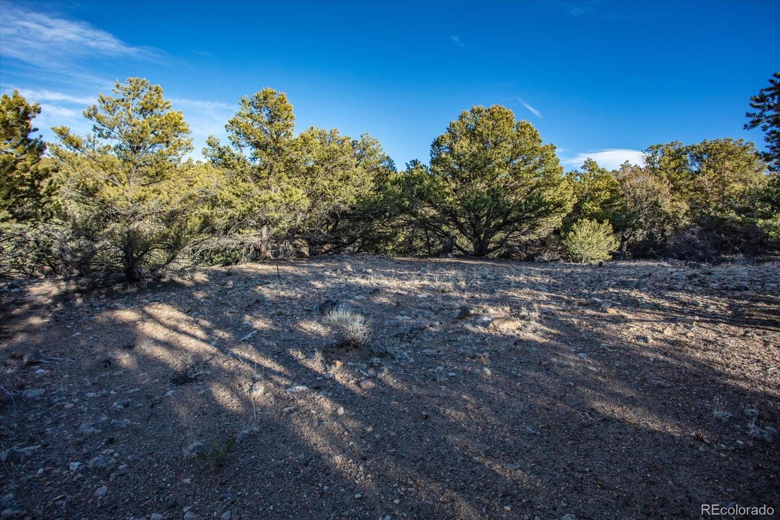 5450 Longbranch Road