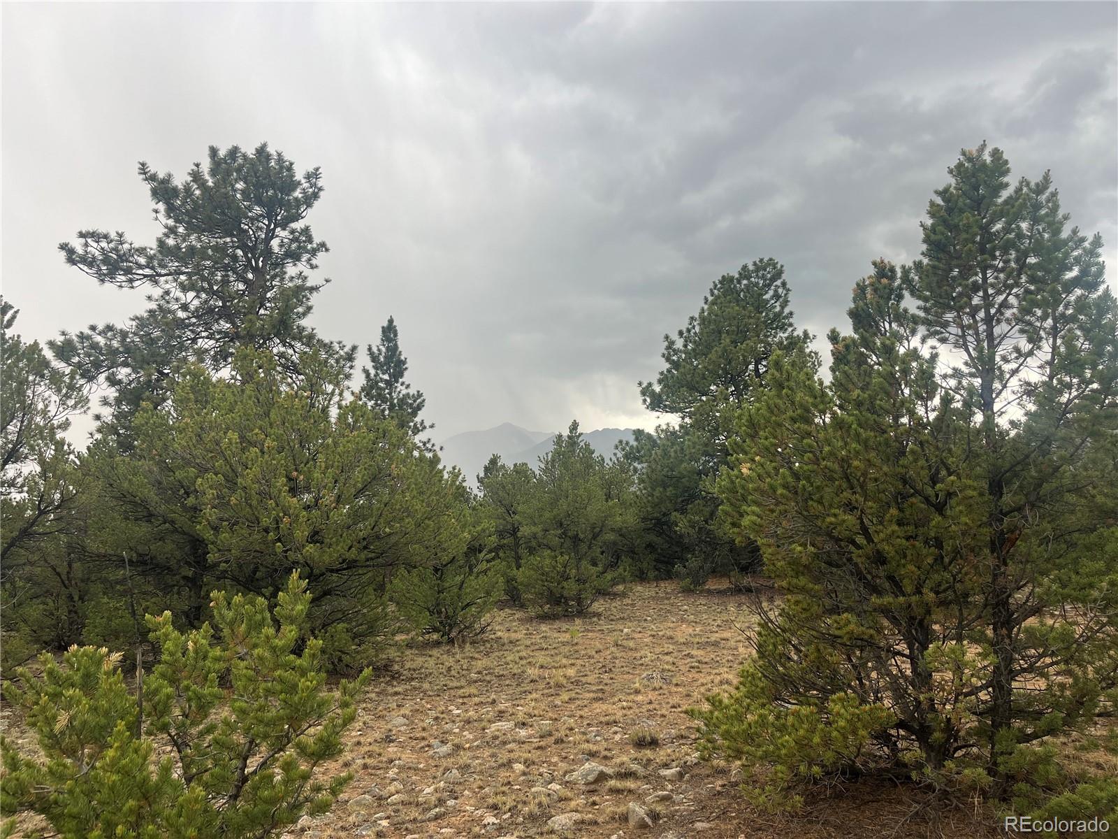28933 Timber Ridge