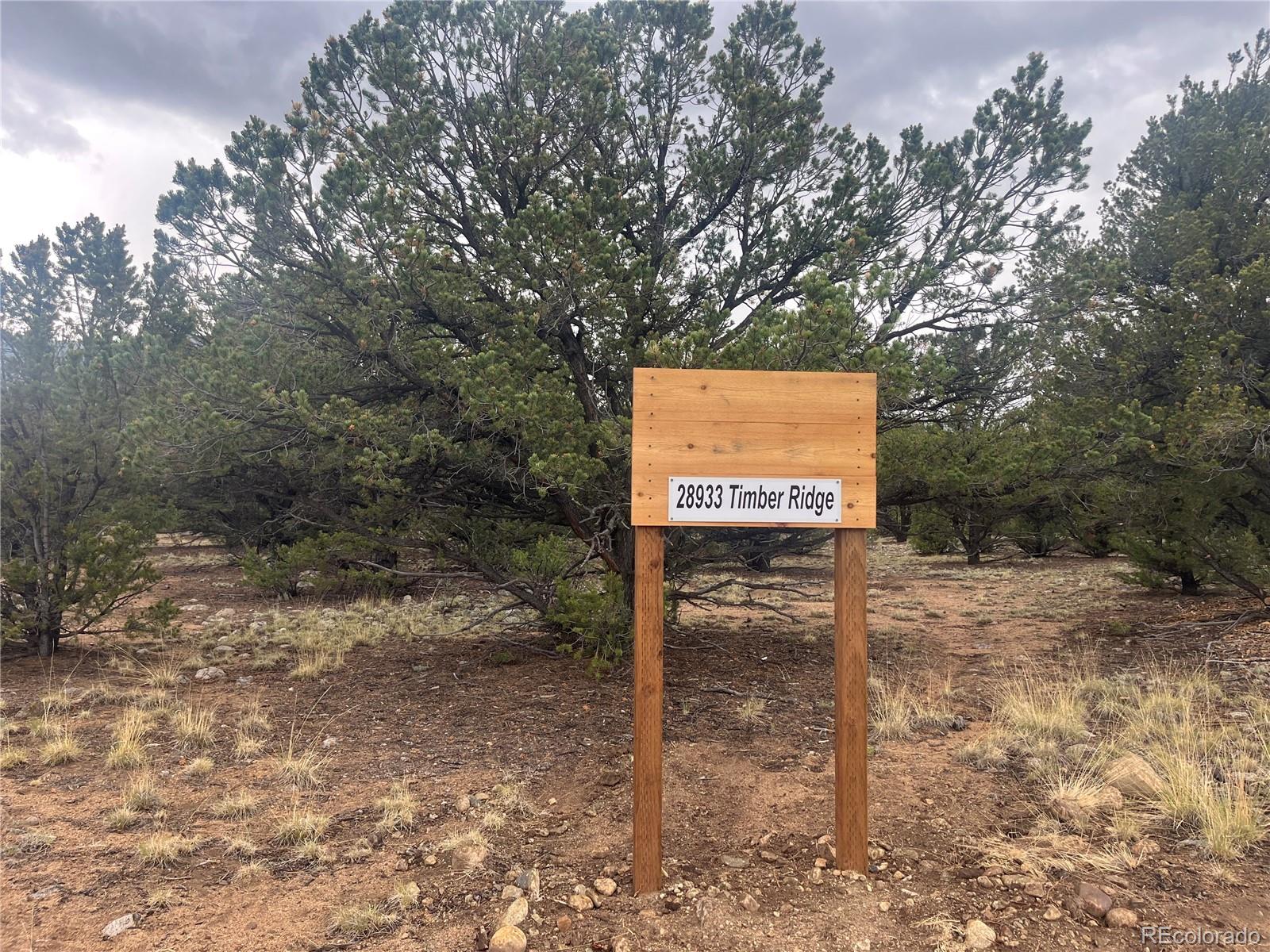 28933 Timber Ridge