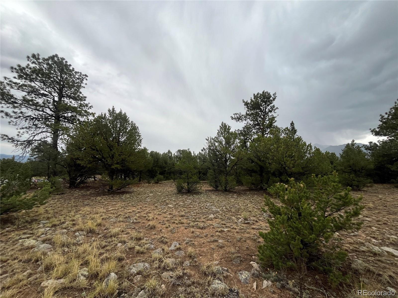 28933 Timber Ridge