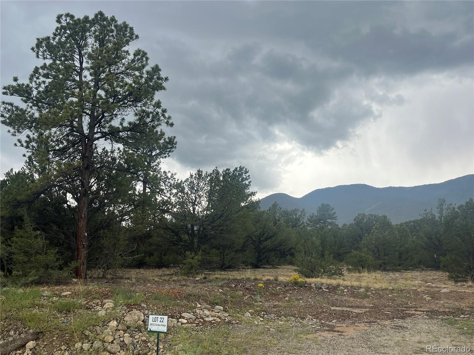 28933 Timber Ridge