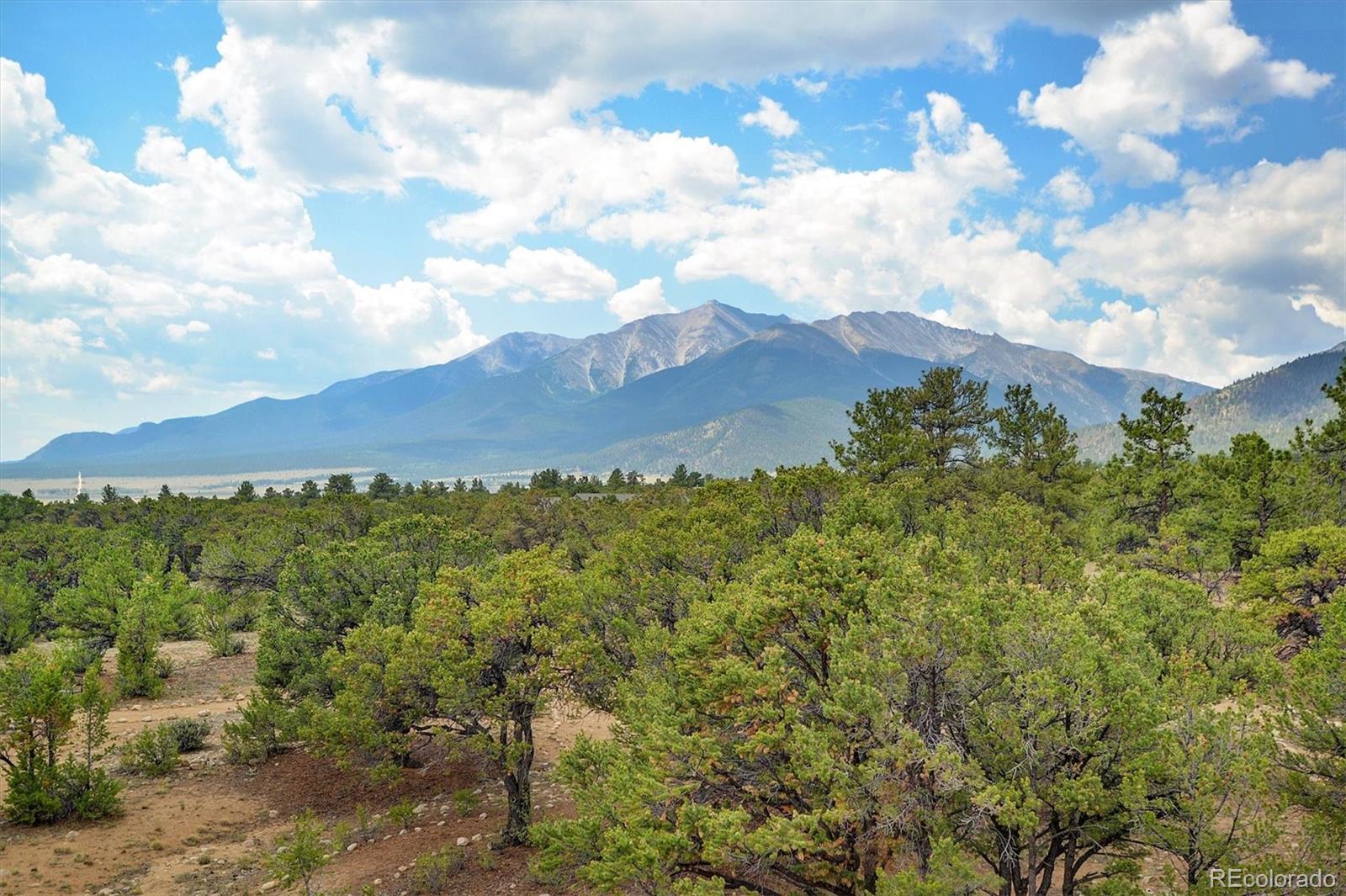 16988 County Road 363