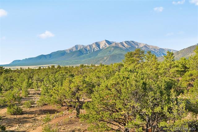 16988 County Road 363