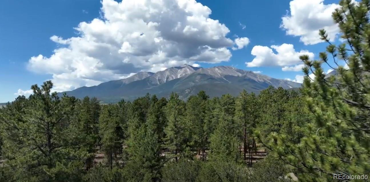 29269 Timber Ridge