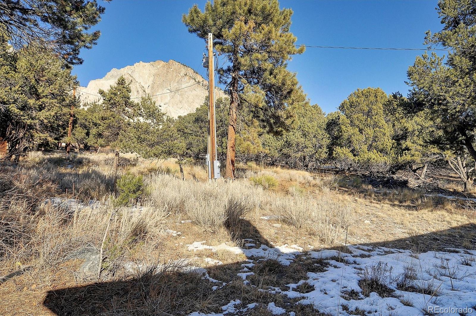 16819 County Road 162 Unit: A