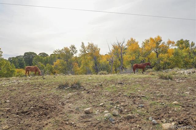 17007 County Road 338