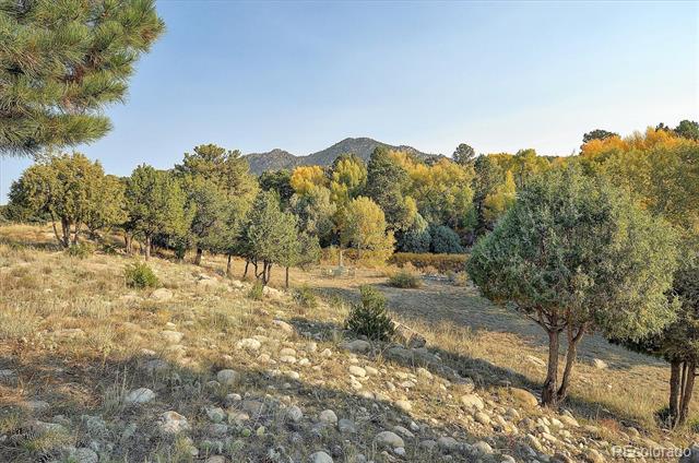 27665 County Road 313 Unit: 46