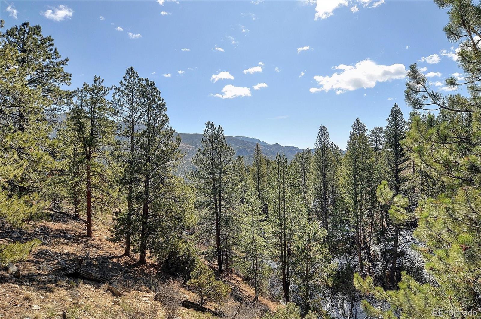 18610 Morrison Creek Circle