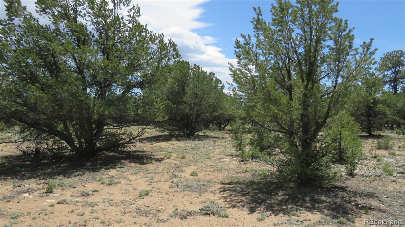 28922 Timber Ridge