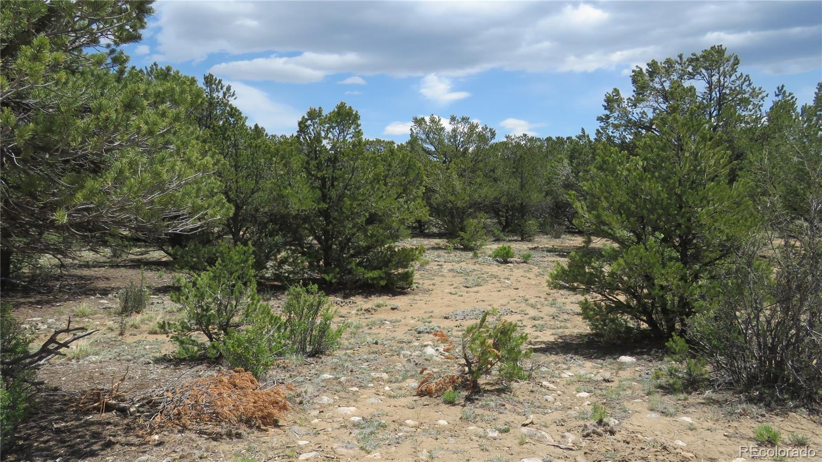 28922 Timber Ridge