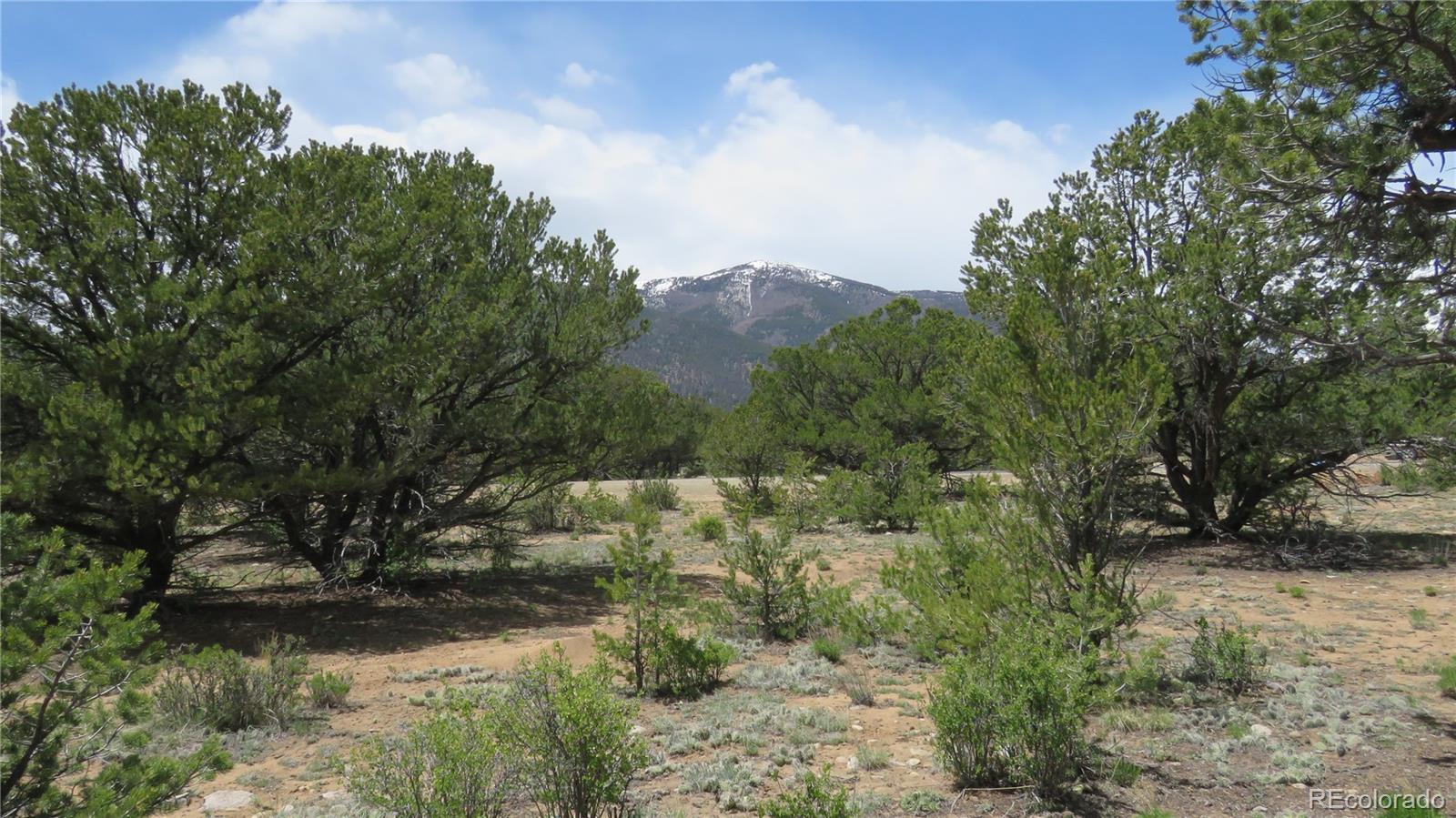 28922 Timber Ridge