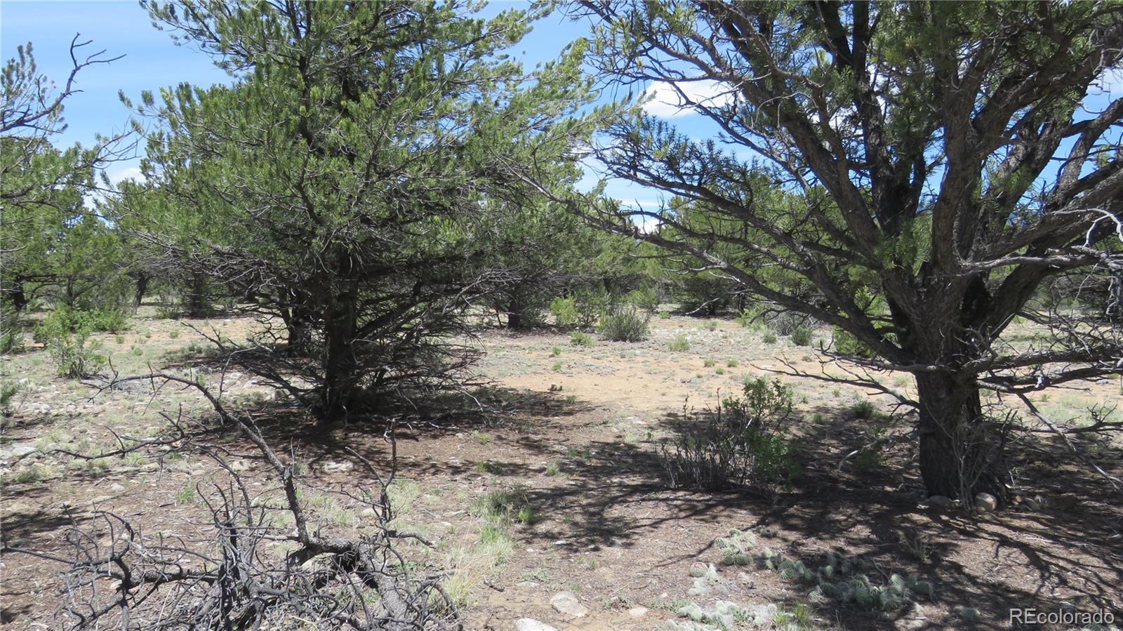 28922 Timber Ridge