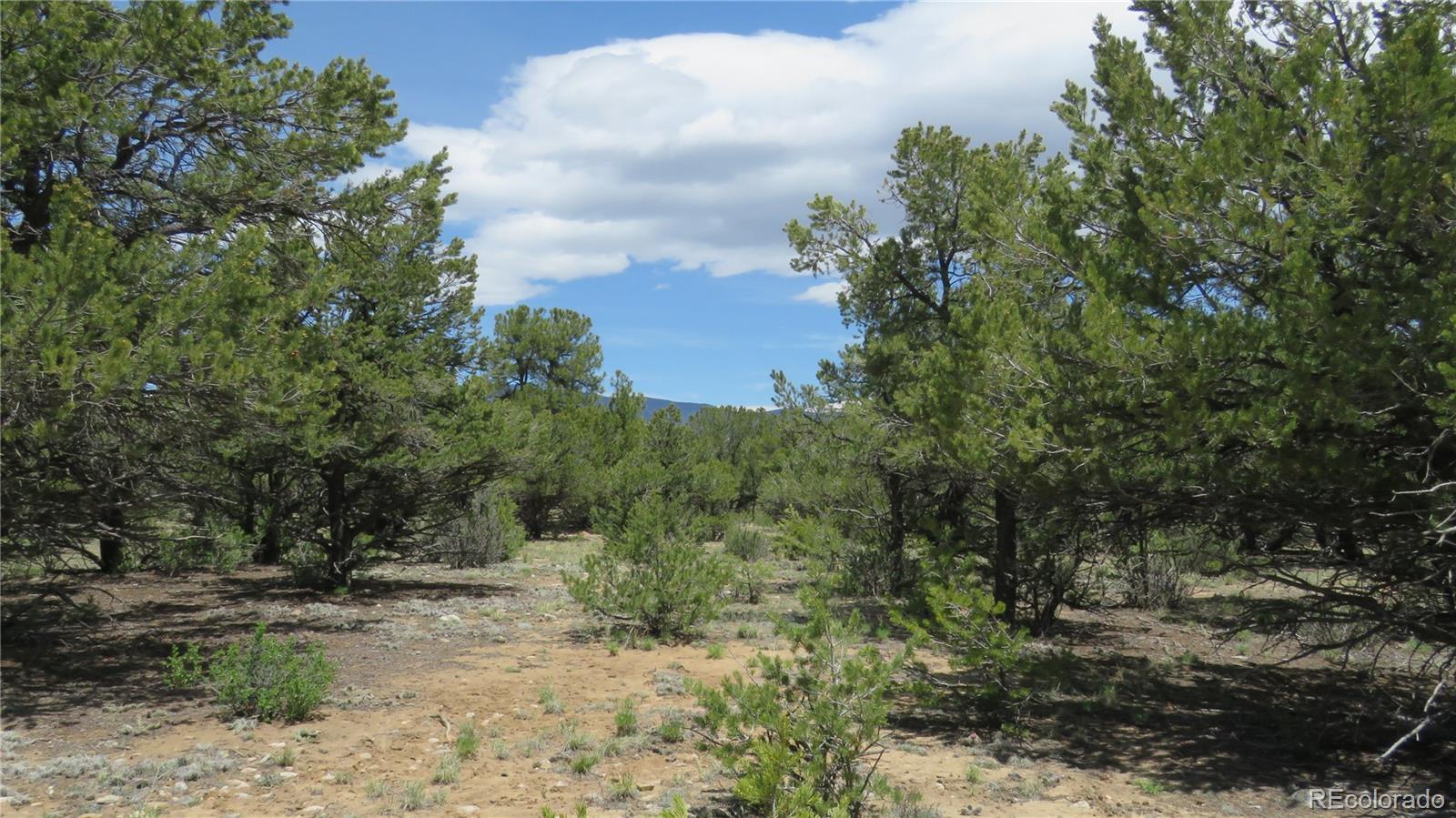 28922 Timber Ridge