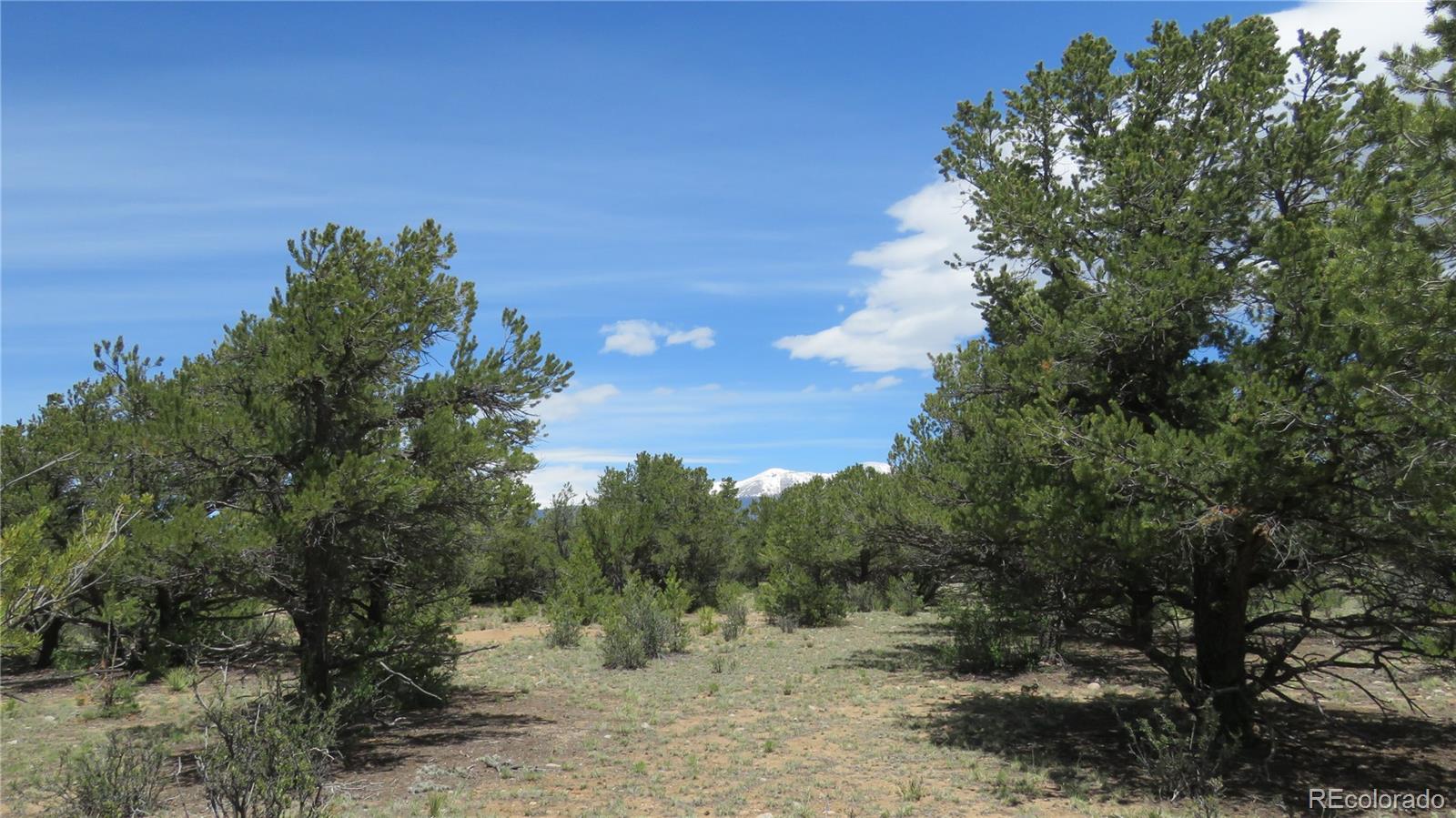 28922 Timber Ridge
