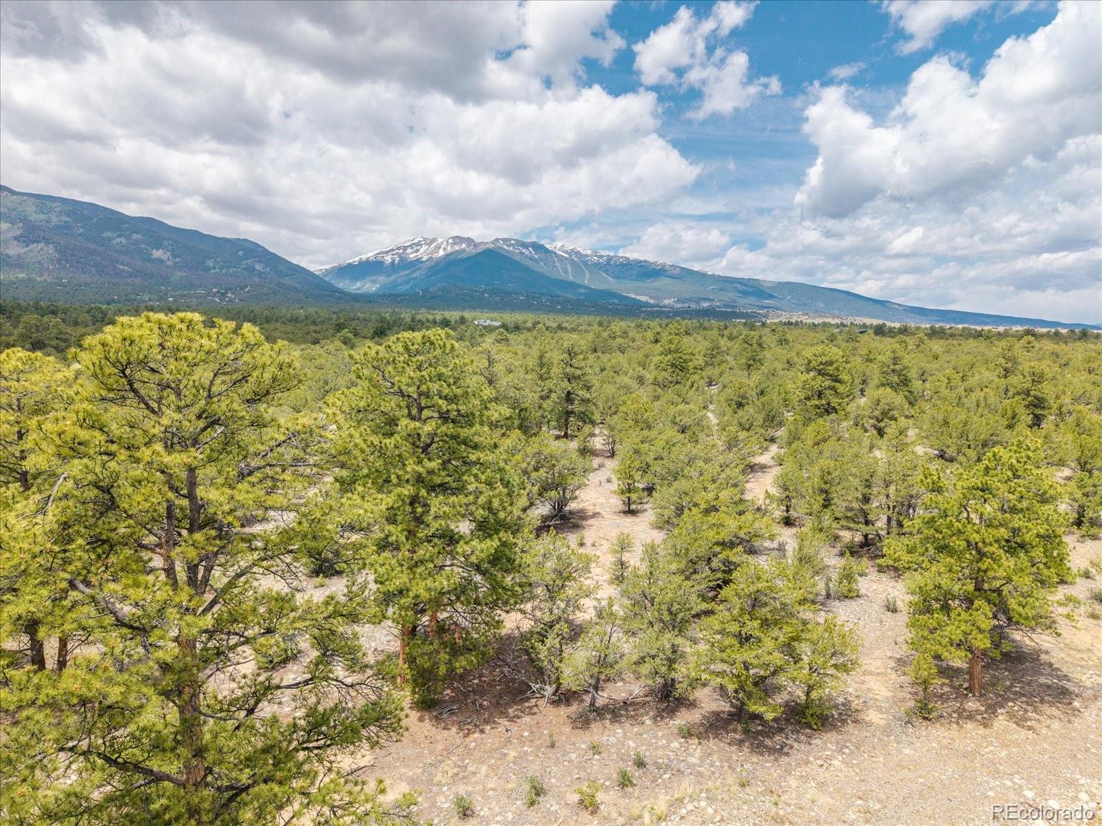 28922 Timber Ridge