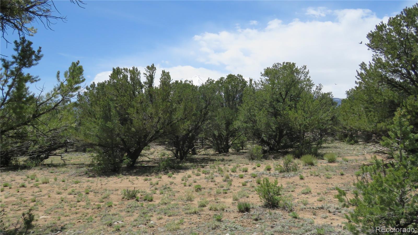 28922 Timber Ridge