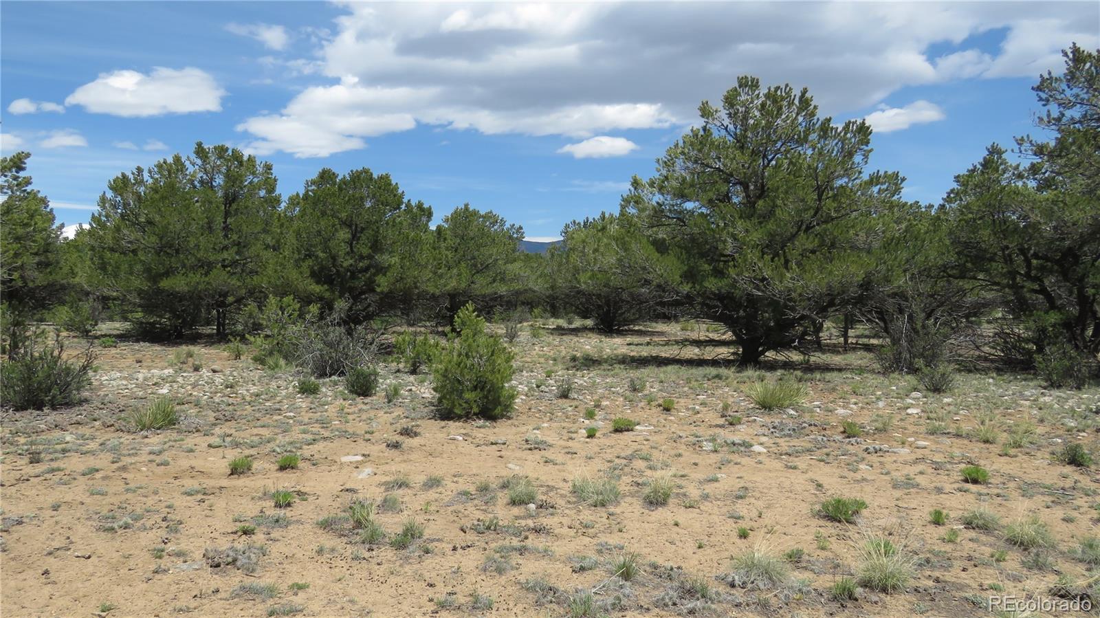 28922 Timber Ridge