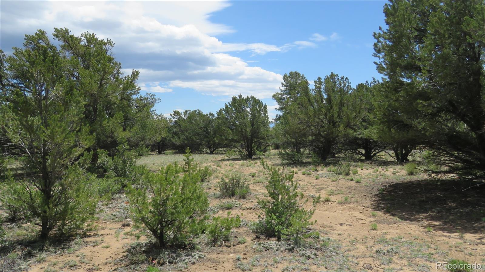 28922 Timber Ridge