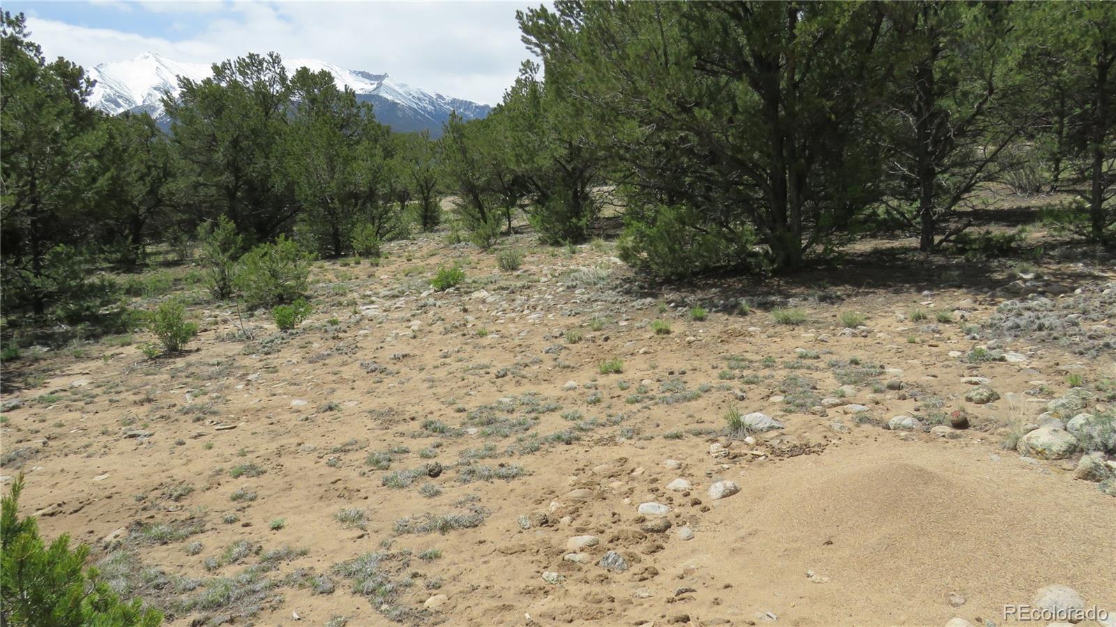 28922 Timber Ridge