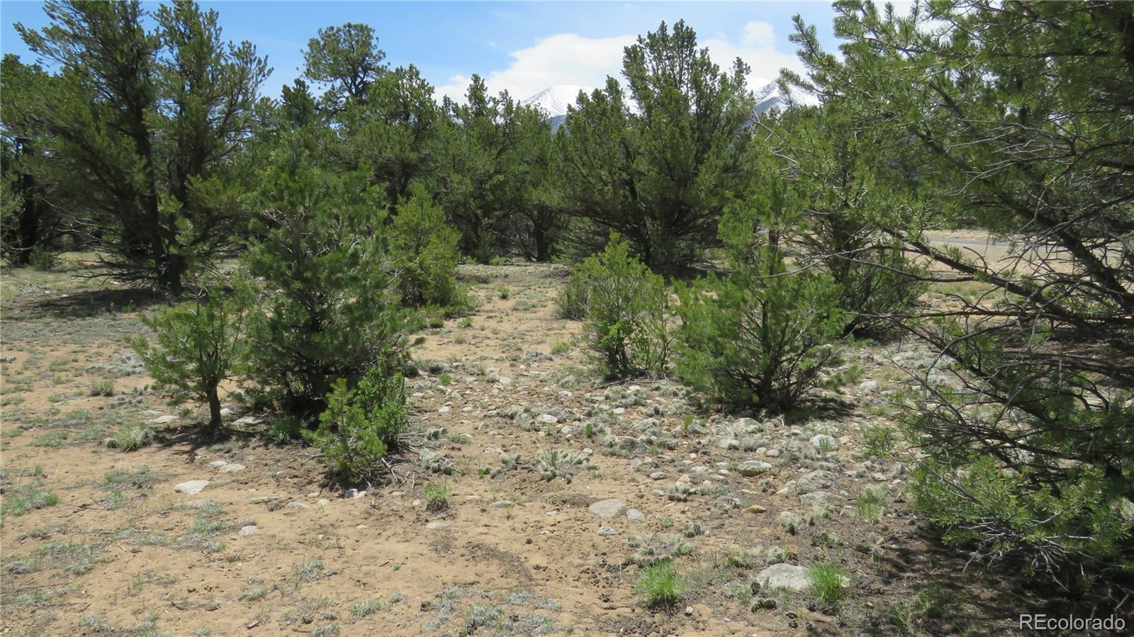 28922 Timber Ridge