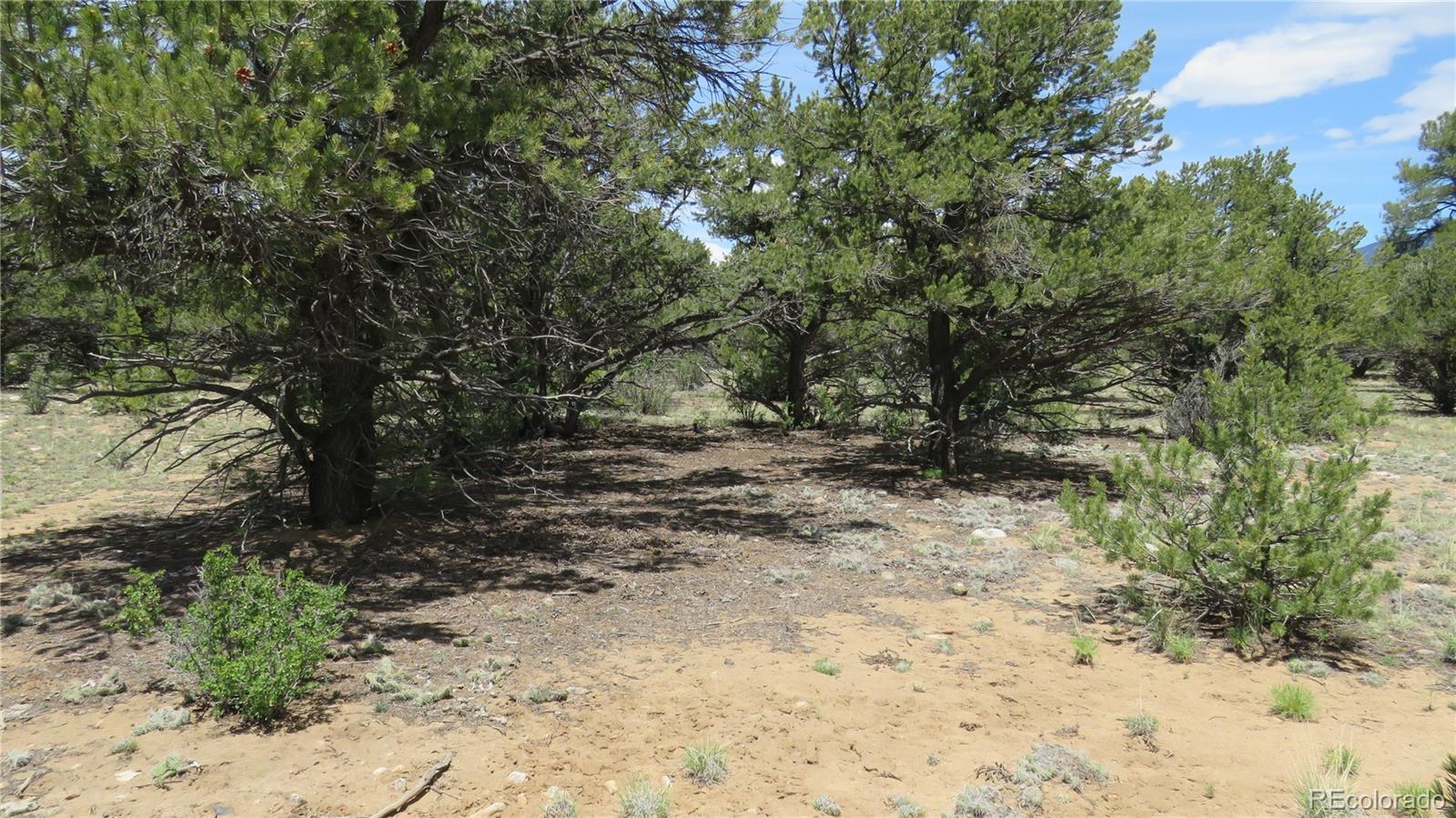 28922 Timber Ridge