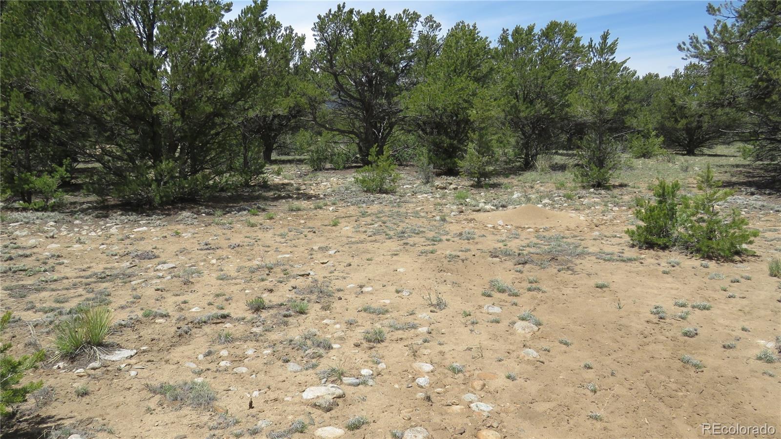 28922 Timber Ridge