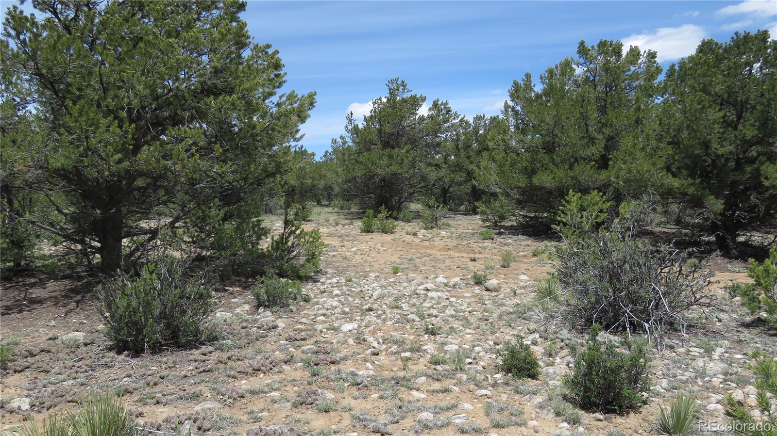 28922 Timber Ridge