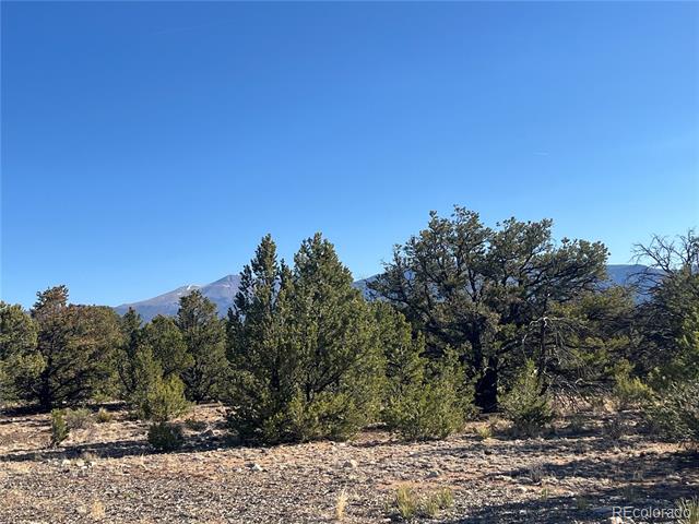 29262 Timber Ridge