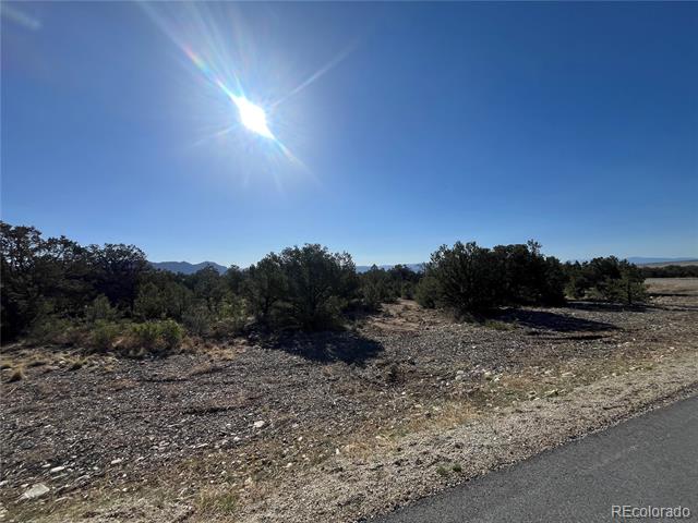 29262 Timber Ridge