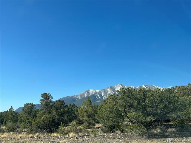 29262 Timber Ridge