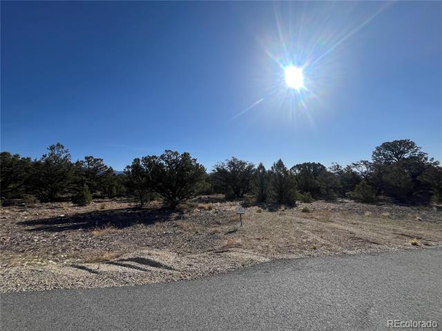 29262 Timber Ridge
