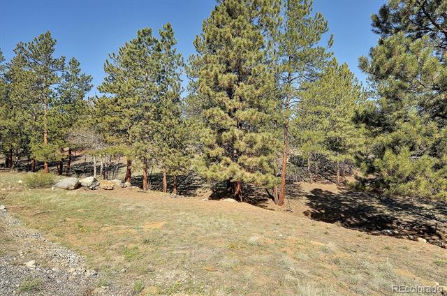 30611 Main Range Drive