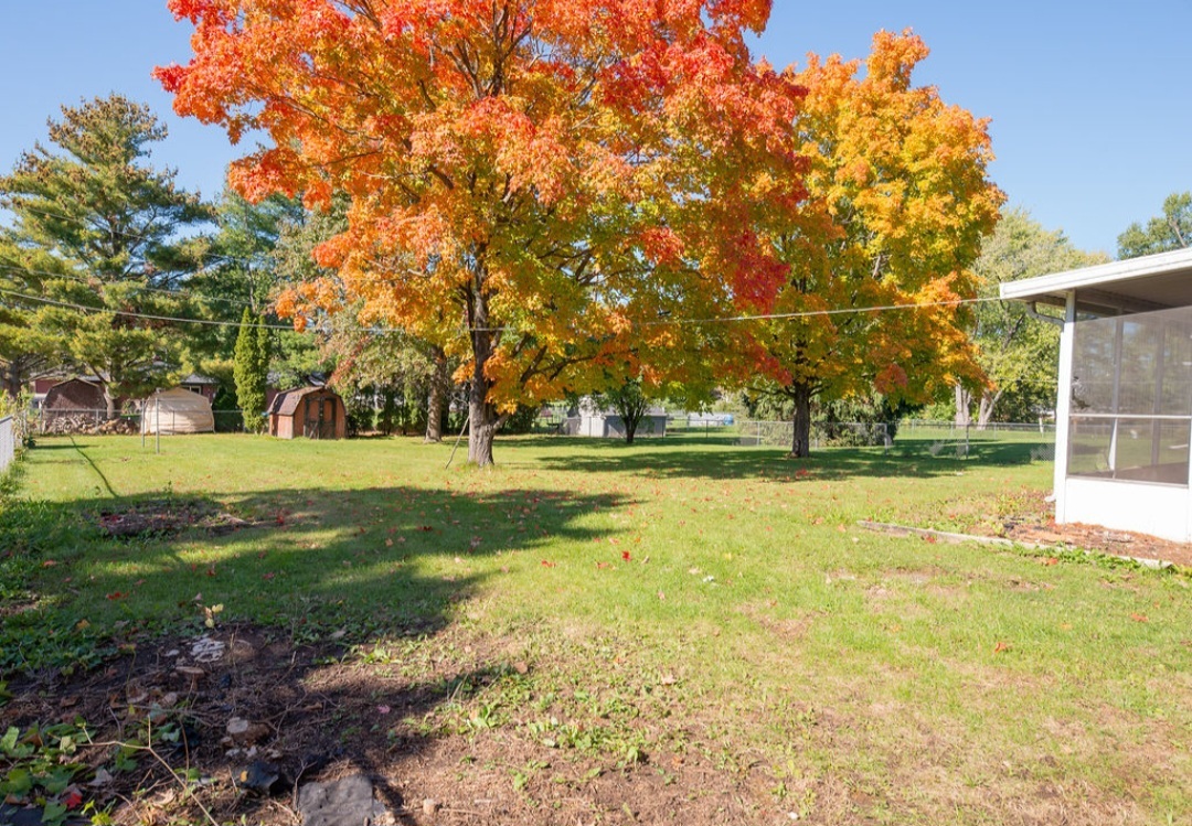 10566 Bluebonnet Drive