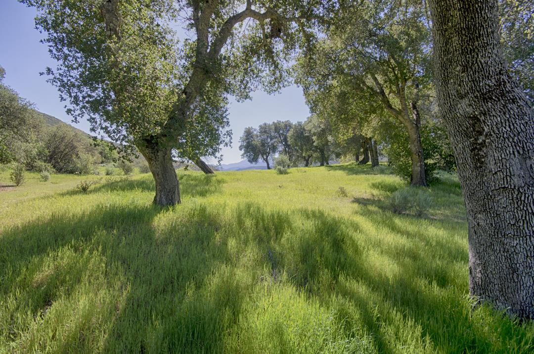 43515 Carmel Valley RD