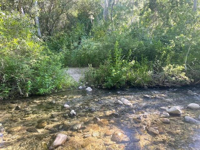 20215 Cachagua RD