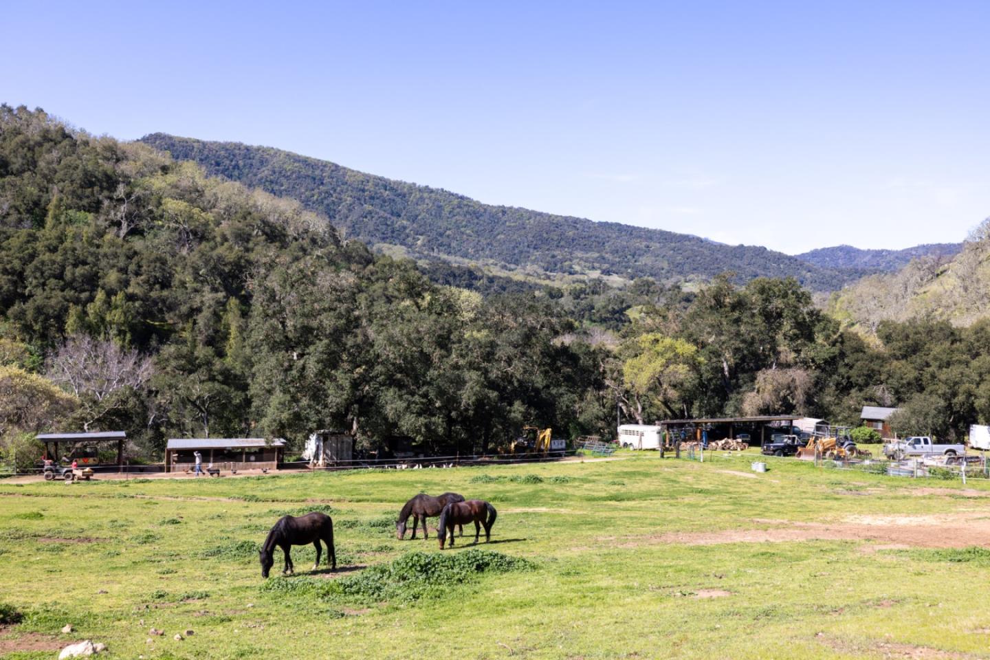 20215 Cachagua RD