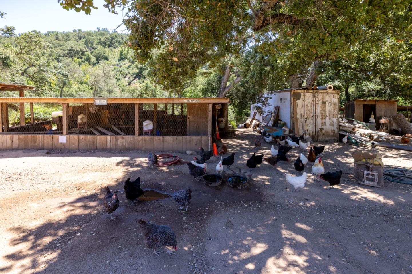 20215 Cachagua RD