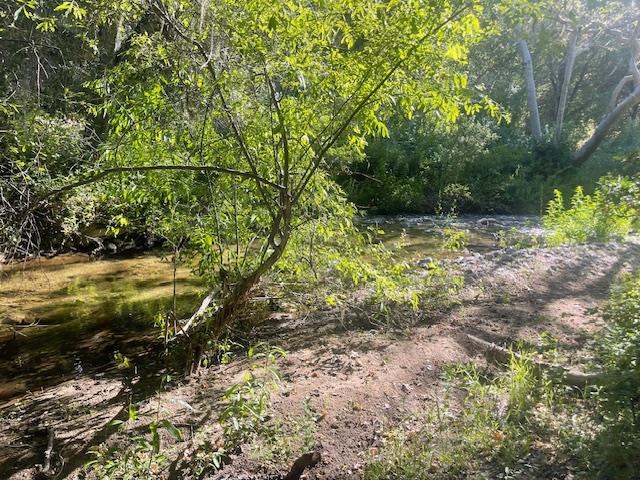 20215 Cachagua RD