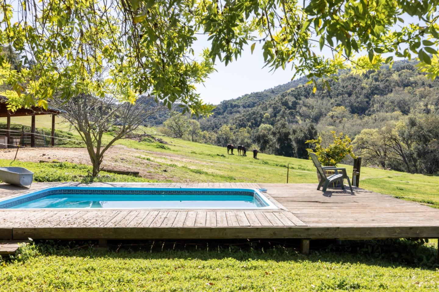 20215 Cachagua RD