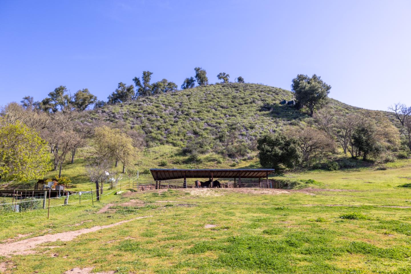 20215 Cachagua RD