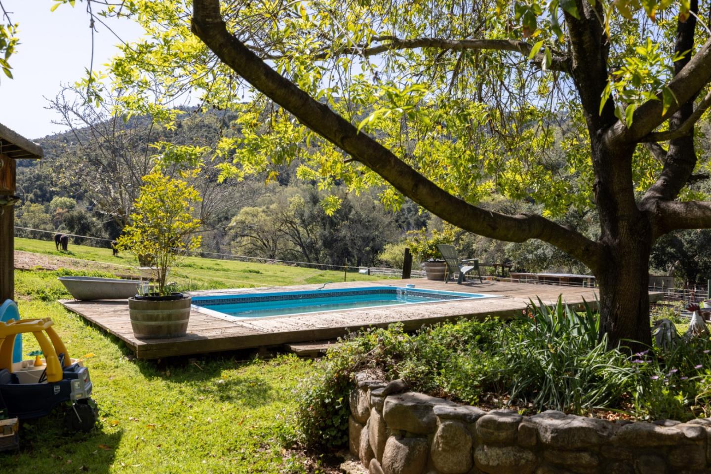 20215 Cachagua RD