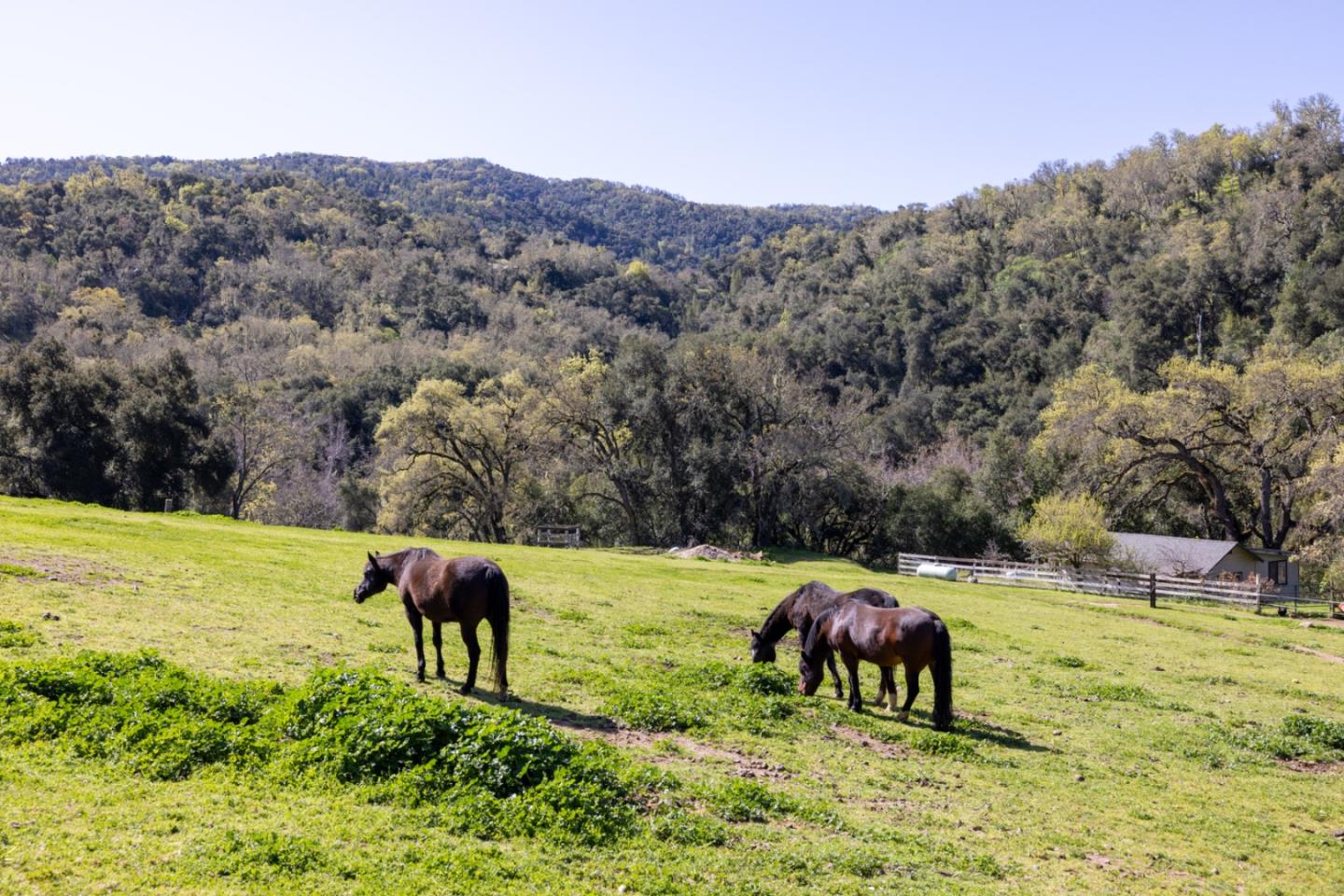 20215 Cachagua RD