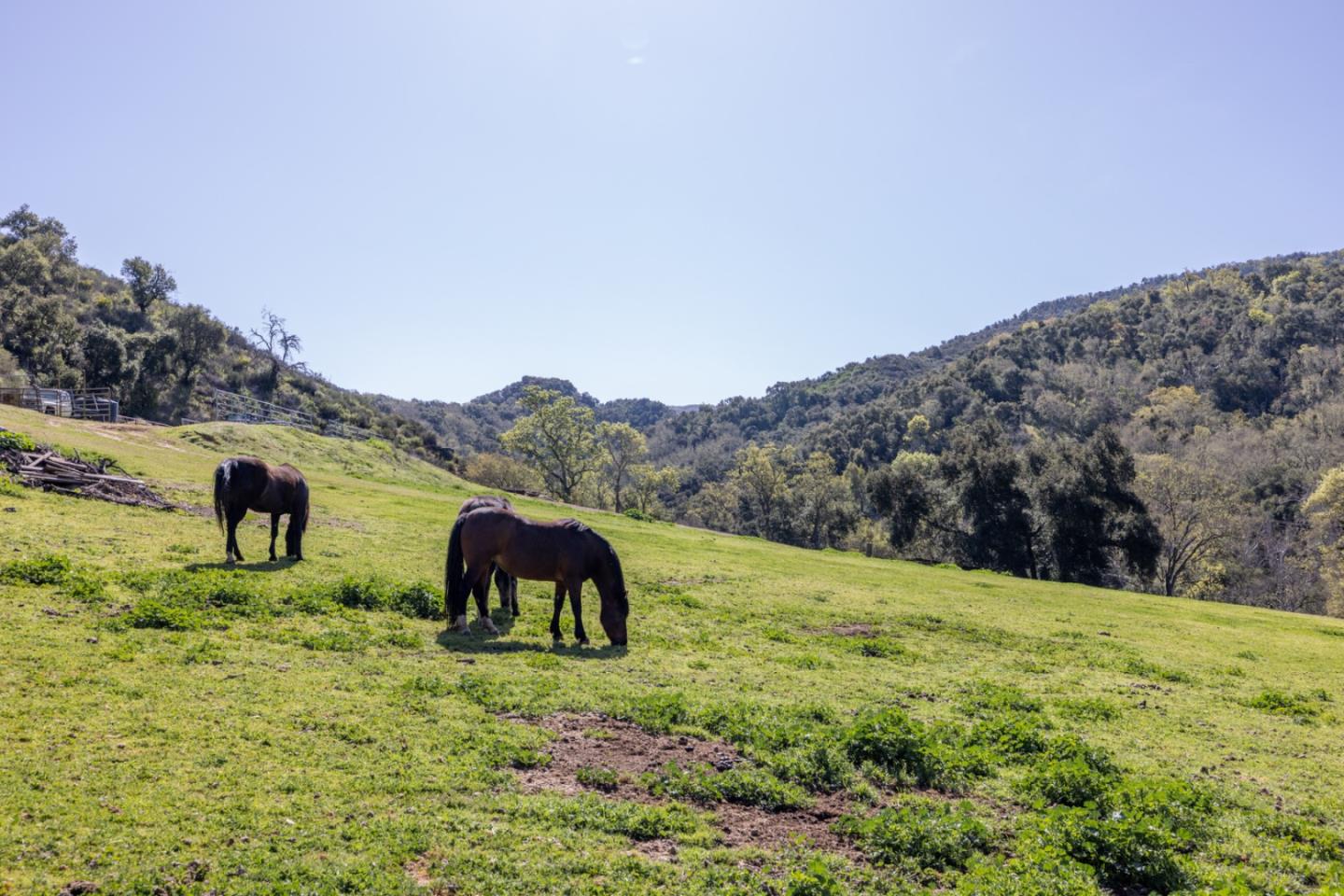 20215 Cachagua RD