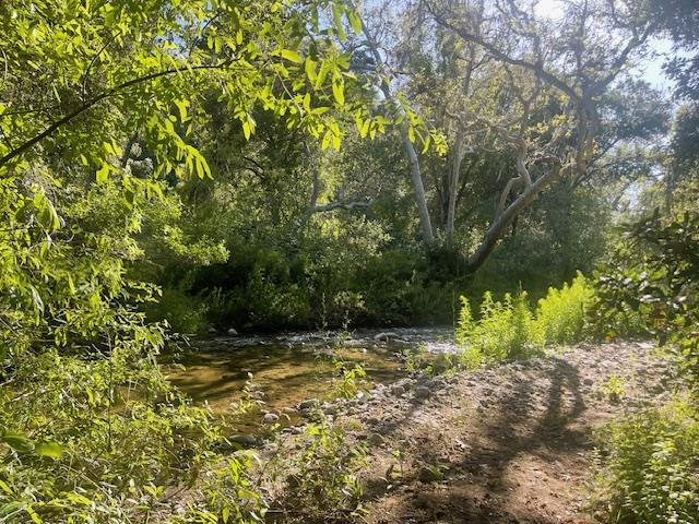 20215 Cachagua RD