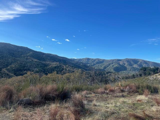 20665 Cachagua RD