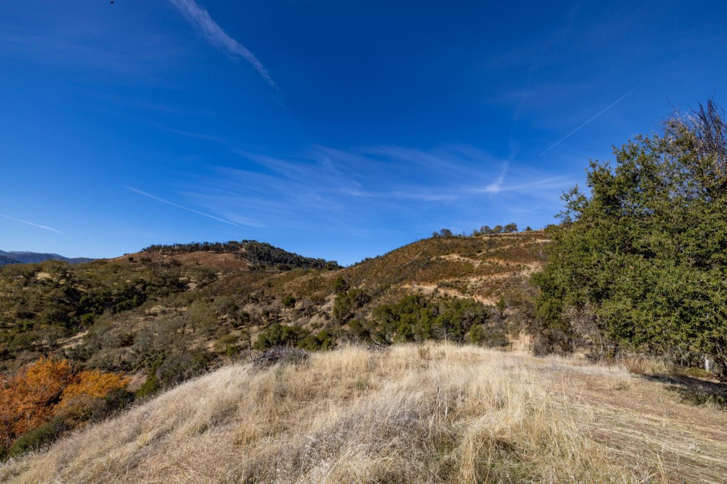 20803 Cachagua RD