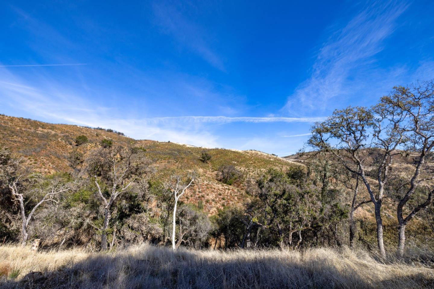 20803 Cachagua RD