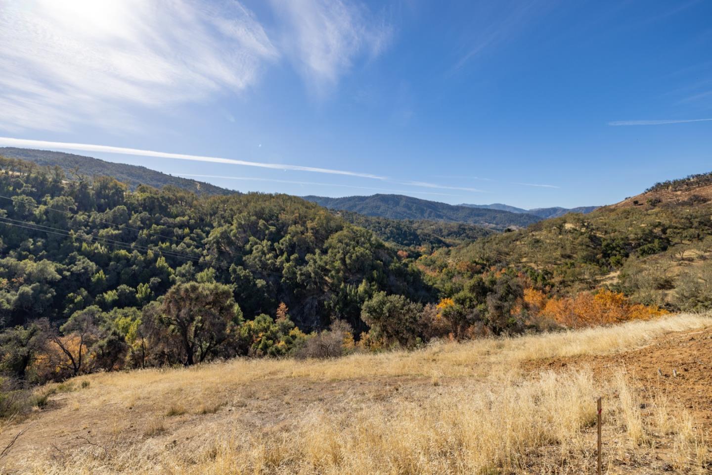 20803 Cachagua RD
