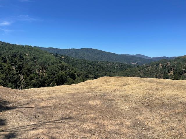 20803 Cachagua RD