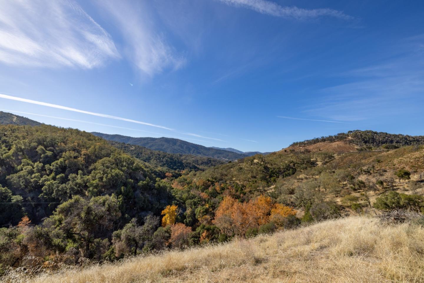 20803 Cachagua RD